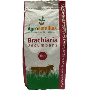 semilla de pasto brachiaria