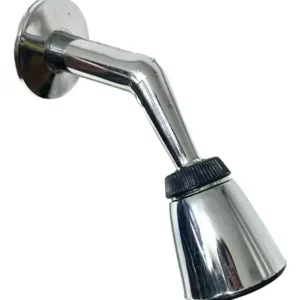 regadera lvp cromada (7700041002928)