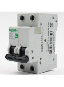 mini breaquer 2 x 20 amp