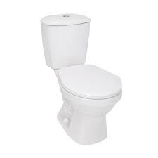 sanitario laguna blanco solo