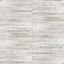 eucalipto nevado fd 32 x 56