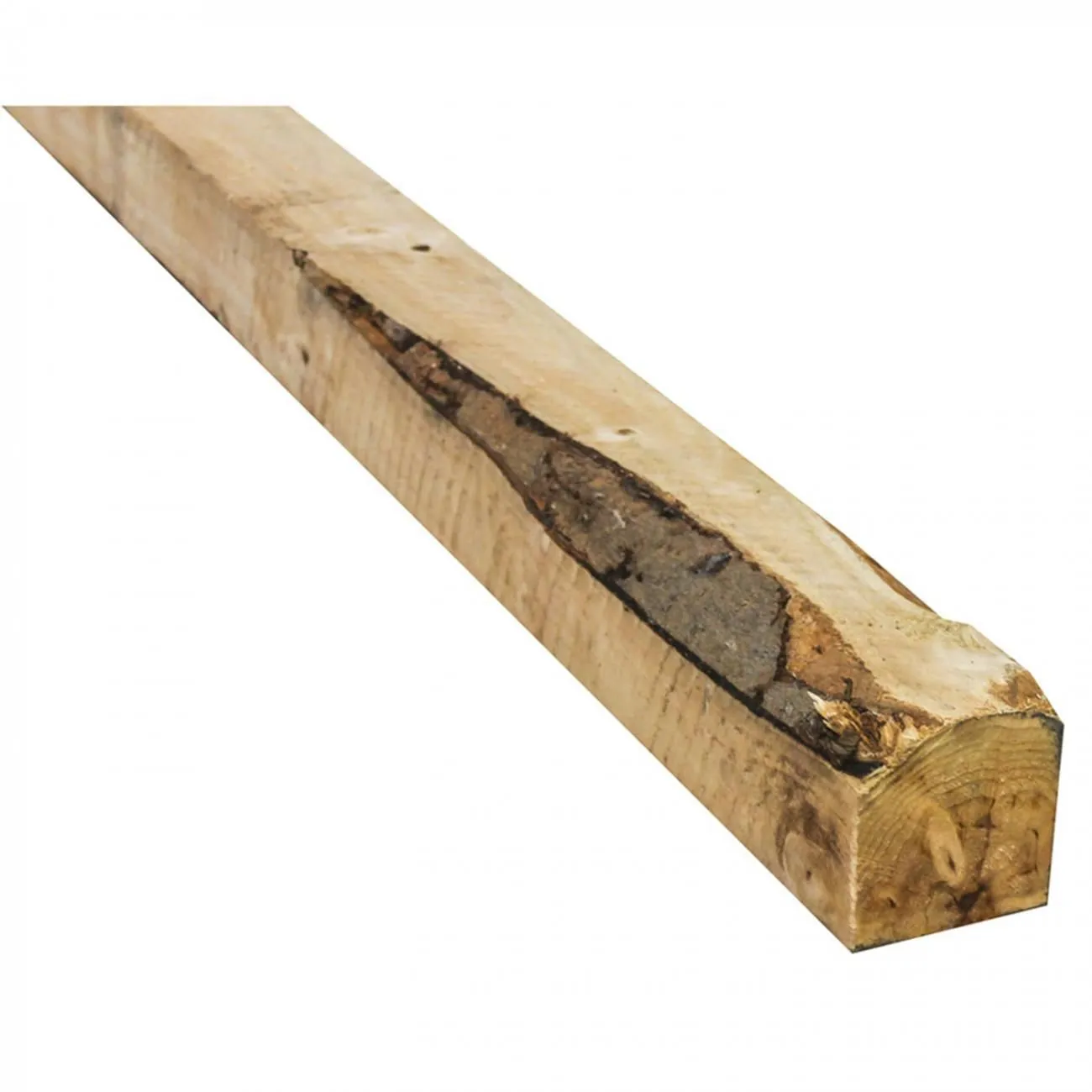 cuarton chanu fino x 15 x 3 3 cmts cuarton chanu fino x 15 x 3 3 cmts